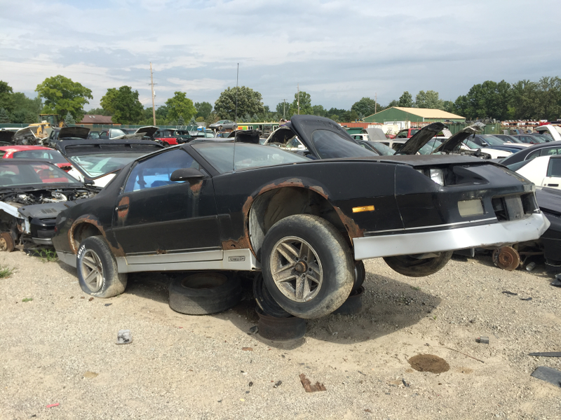 Illustration for article titled Michigan Junkyard Adventures